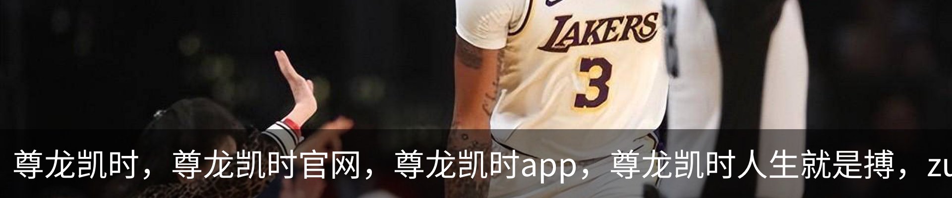 尊龙凯时 - 人生就是搏!